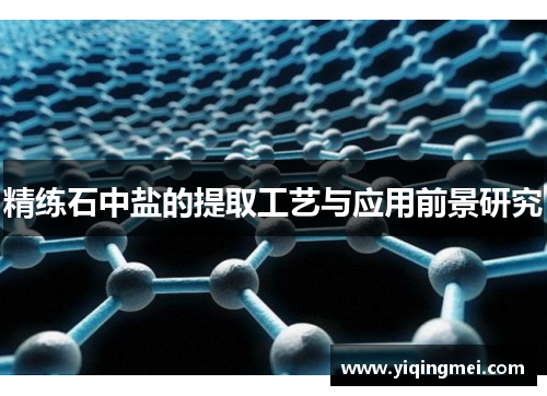 精练石中盐的提取工艺与应用前景研究